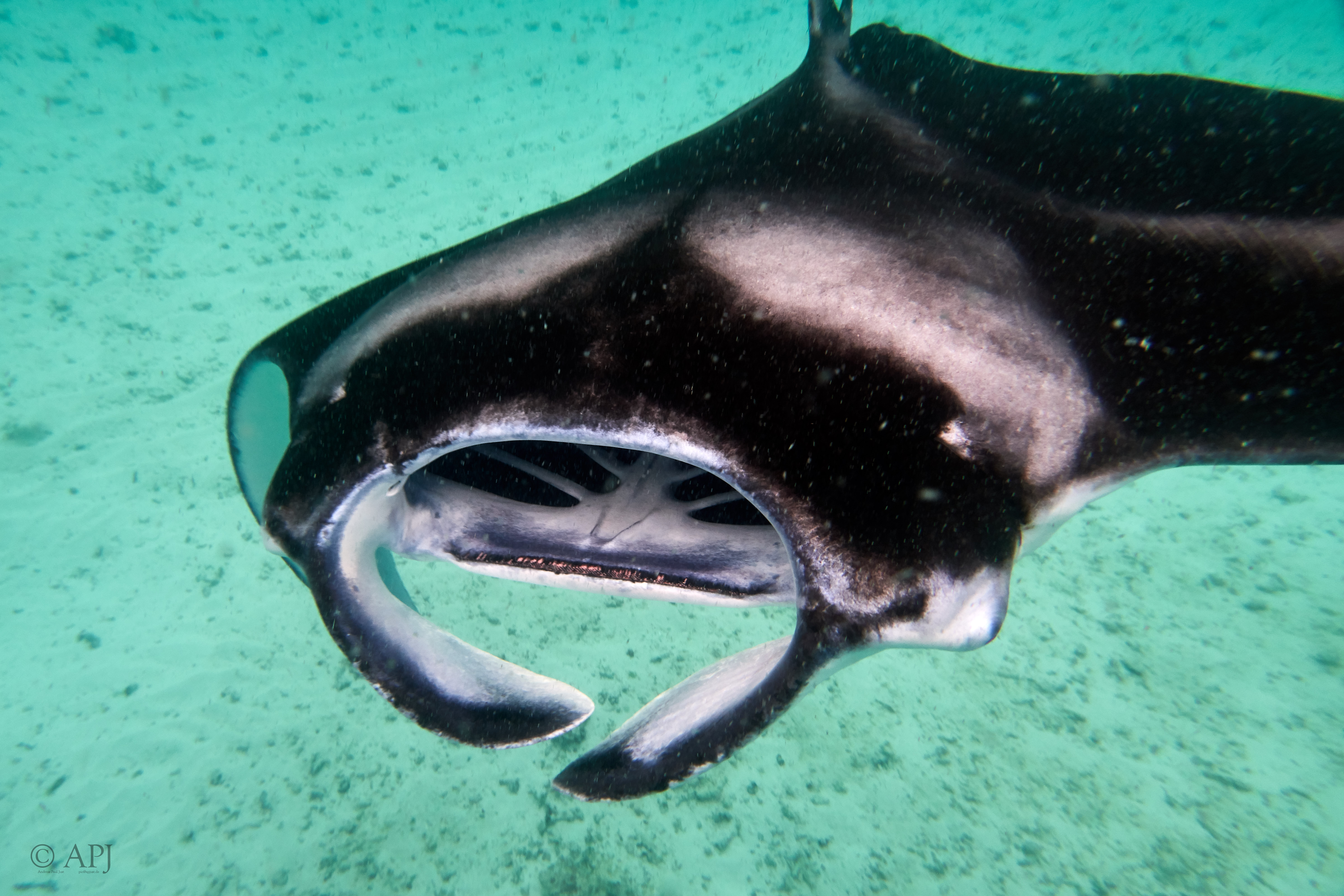 002634 17 08 17  Canon PowerShot G7 X Mark II   Malediven2017